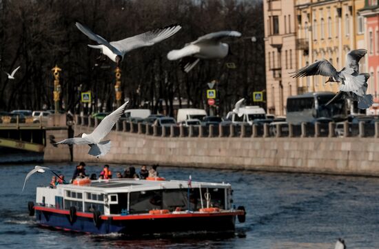 Navigation opens in St. Petersburg