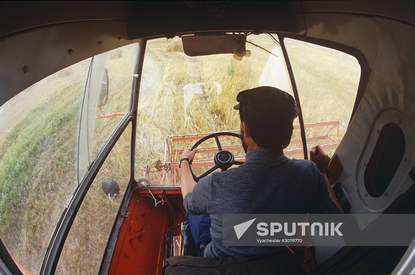 Harvesting the Kuban fields