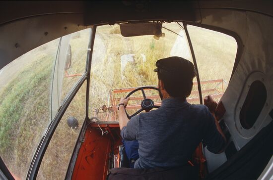 Harvesting the Kuban fields