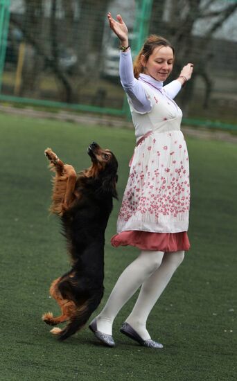Canine all-round competition in Vladivostok