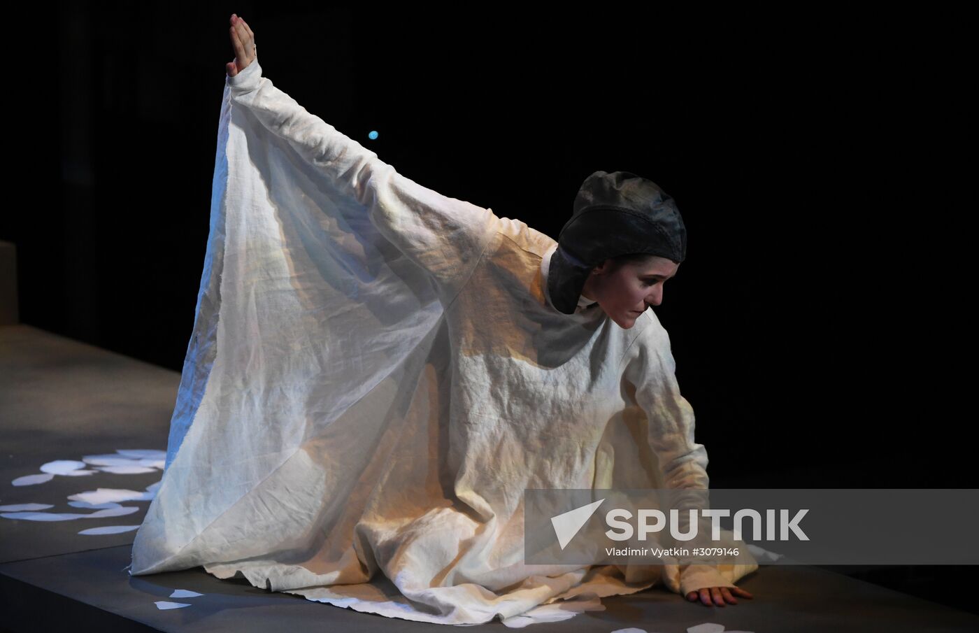Pre-premiere show of The Seagull 73458 based on Anton Chekhov's play