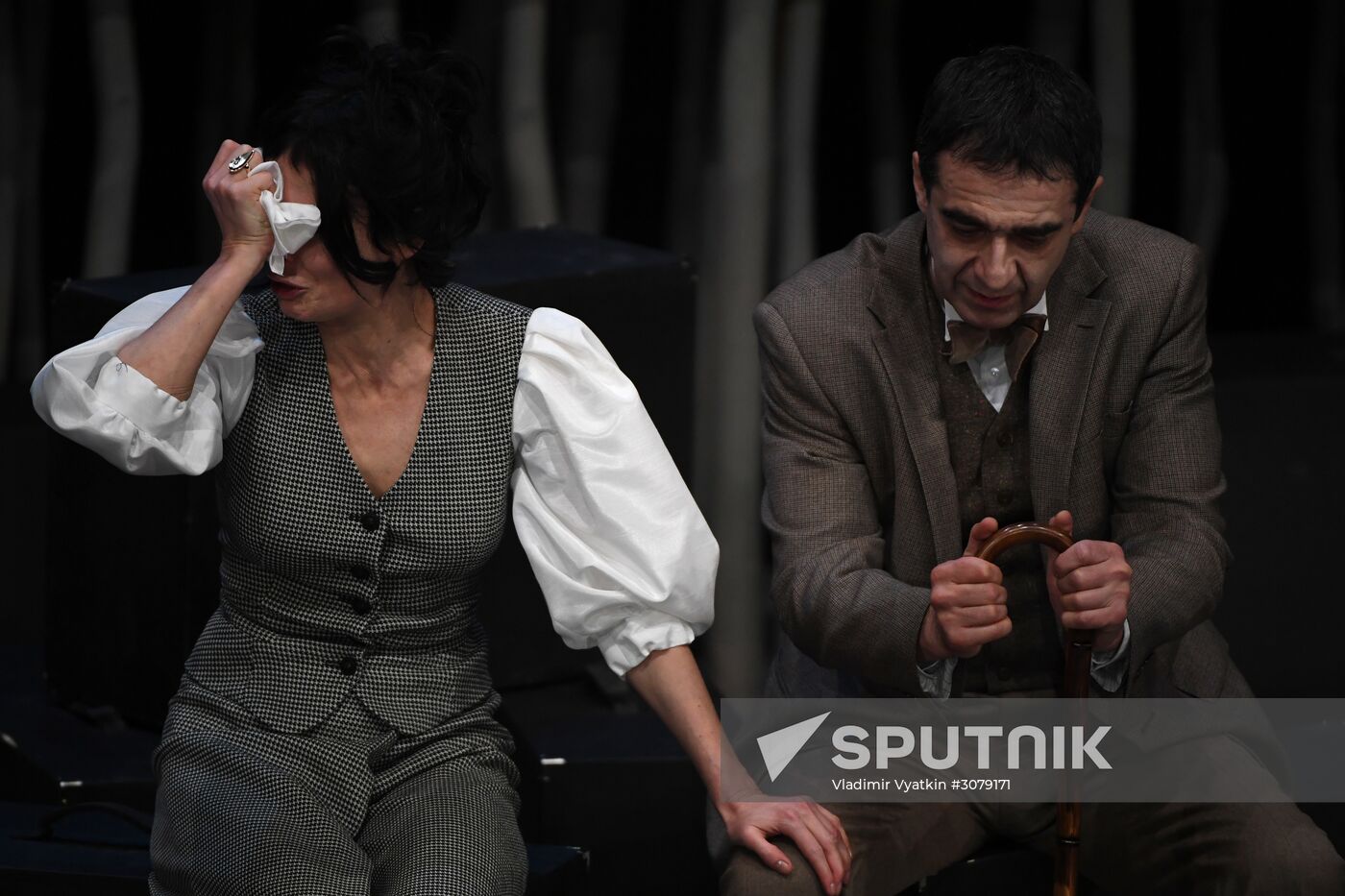 Pre-premiere show of The Seagull 73458 based on Anton Chekhov's play