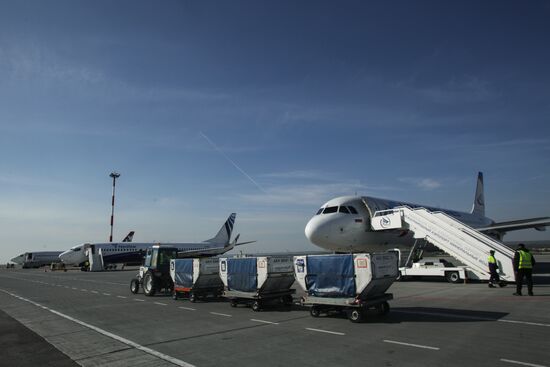 Mineralnye Vody Airport in Stavropol Territory