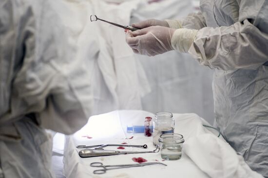 ENT surgeon from Veliky Novgorod