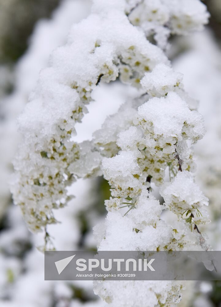 Snow in Crimea