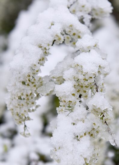 Snow in Crimea