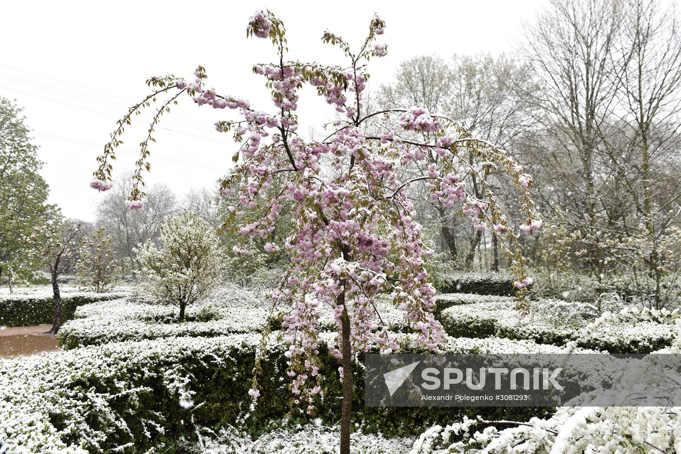 Snow in Crimea