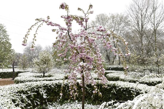 Snow in Crimea
