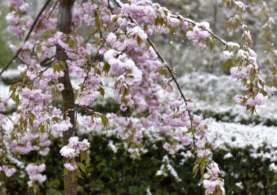 Snow in Crimea