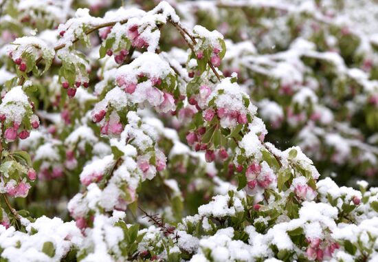 Snow in Crimea