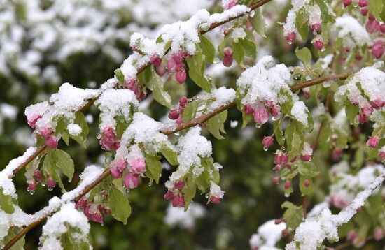 Snow in Crimea