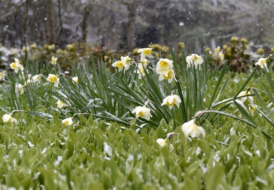 Snow in Crimea