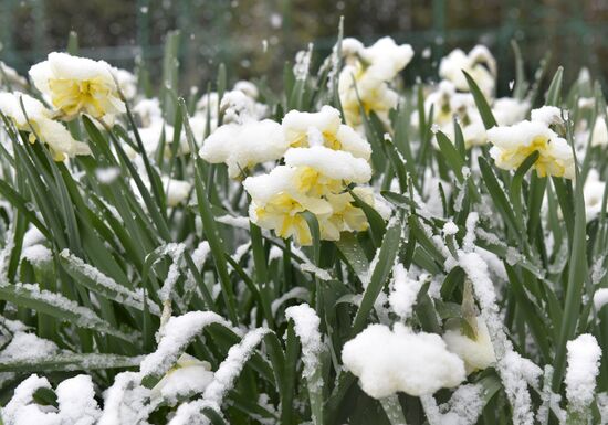 Snow in Crimea