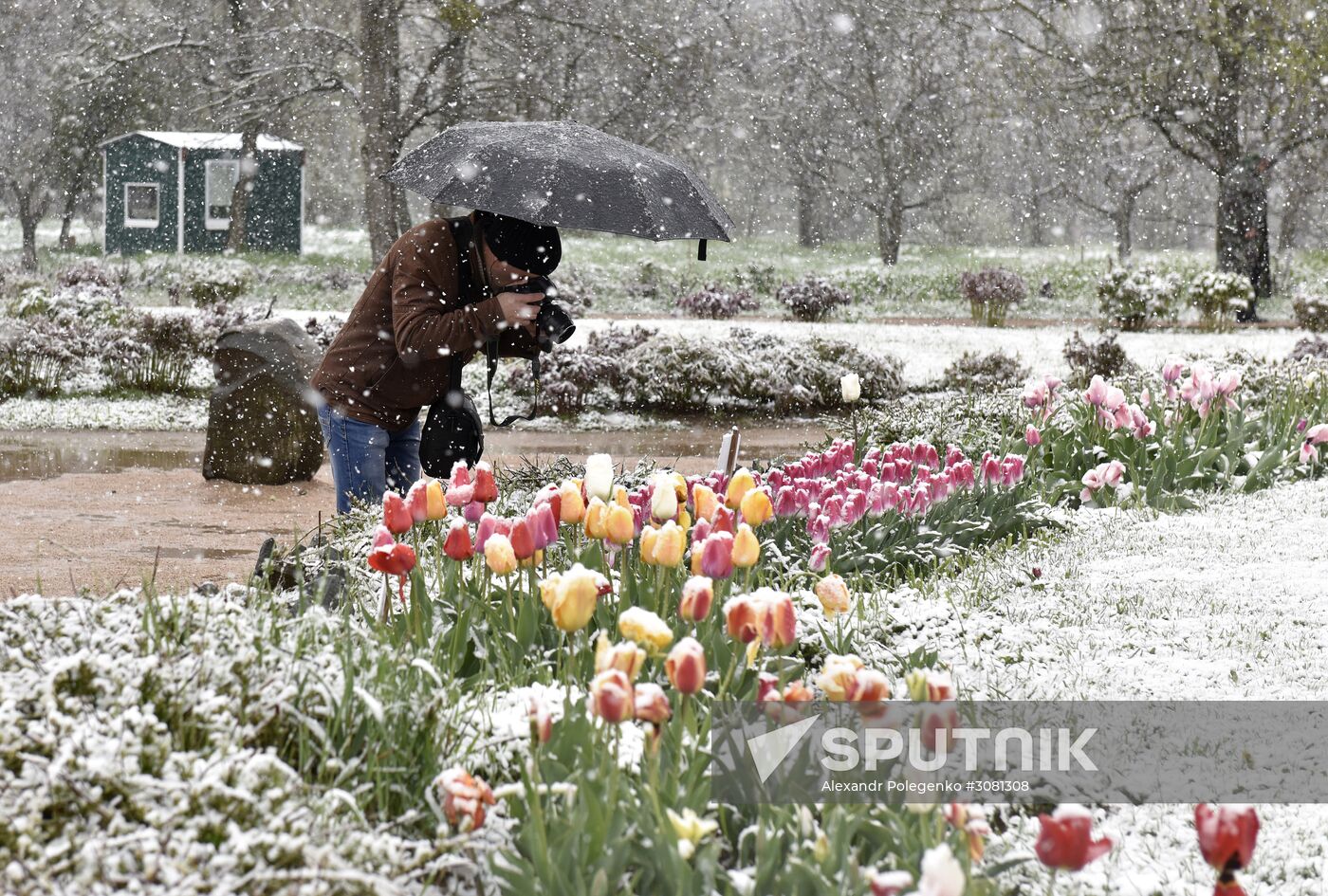 Snow in Crimea