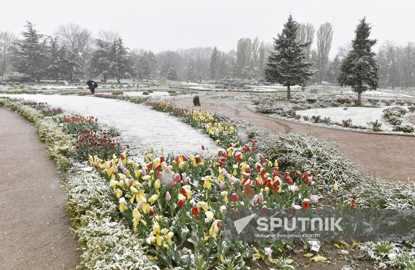 Snow in Crimea