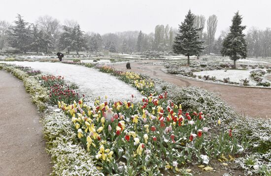 Snow in Crimea
