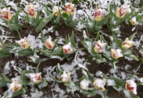 Snow in Crimea