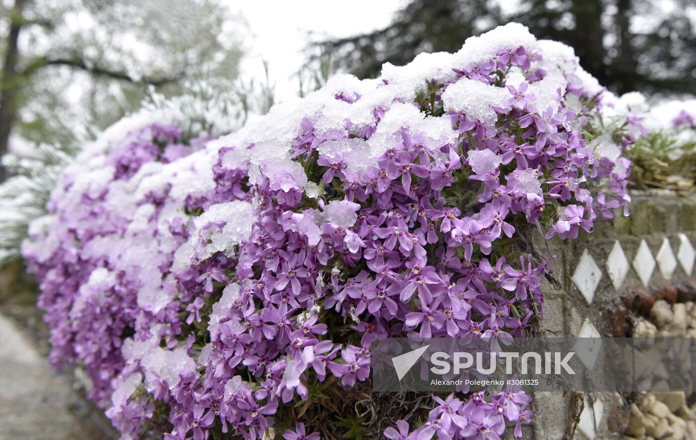 Snow in Crimea
