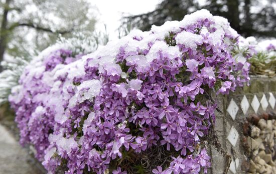 Snow in Crimea