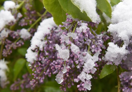 Snow in Crimea
