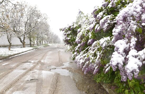 Snow in Crimea