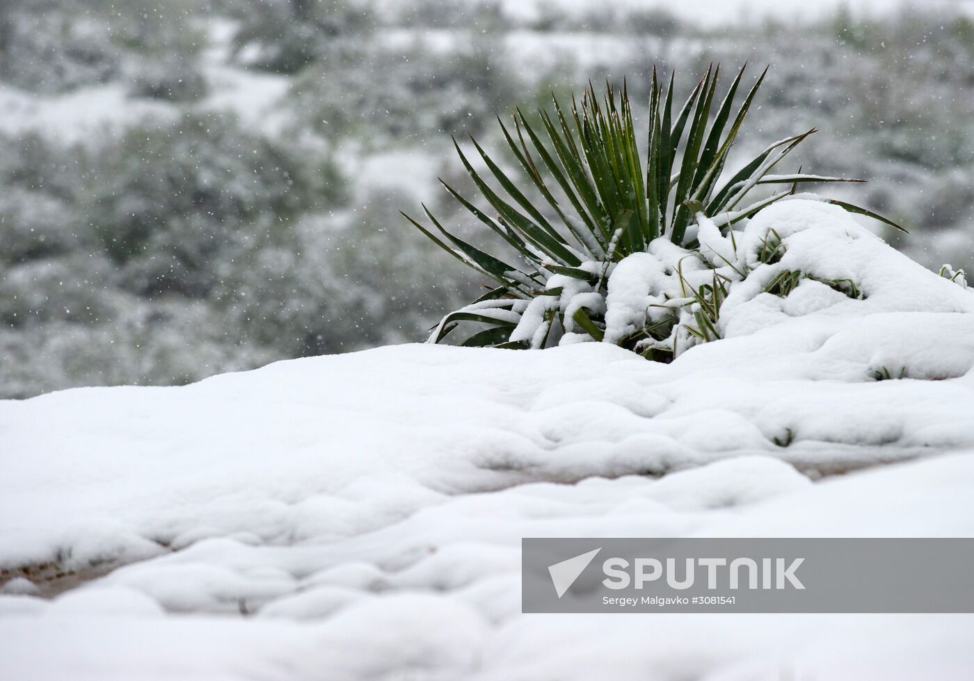 Snow in Crimea
