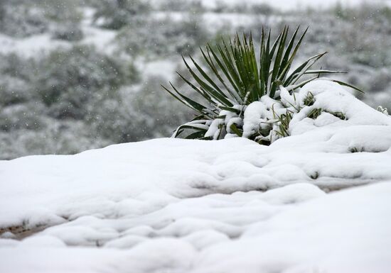 Snow in Crimea