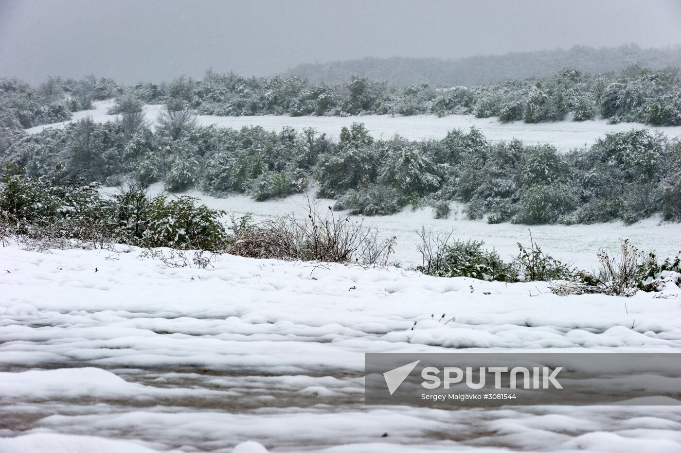 Snow in Crimea