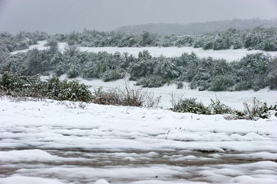 Snow in Crimea