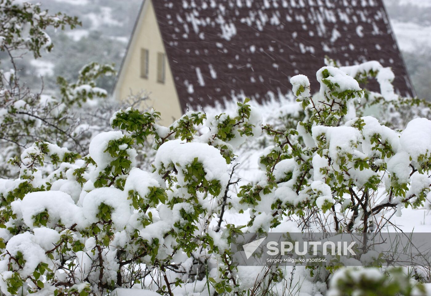Snow in Crimea