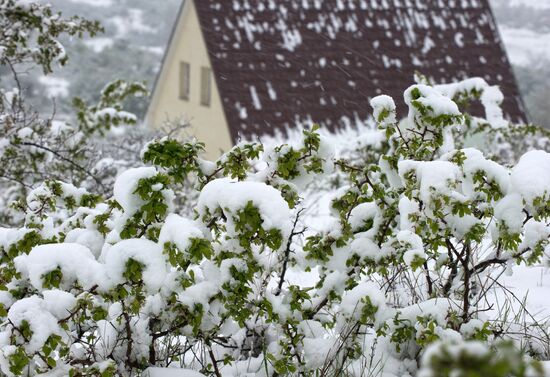 Snow in Crimea