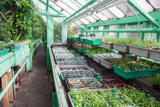 Greenhouse of Kim Andreev Republican Environmental and Biological Center in Karelia