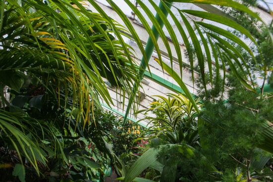 Greenhouse of Kim Andreev Republican Environmental and Biological Center in Karelia