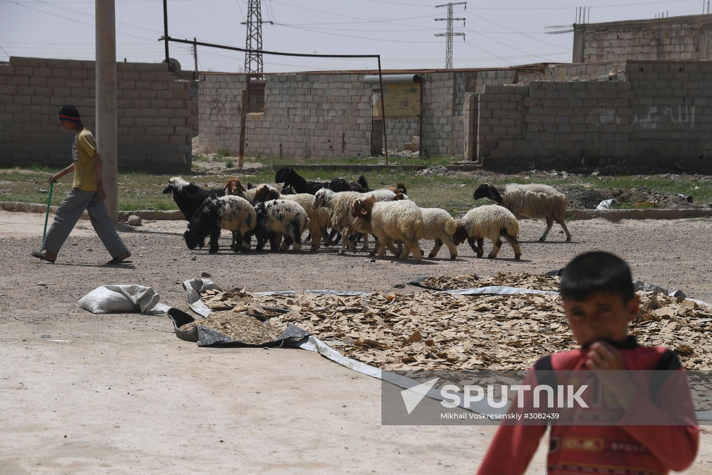 Situation in Deir ez-Zor, Syria