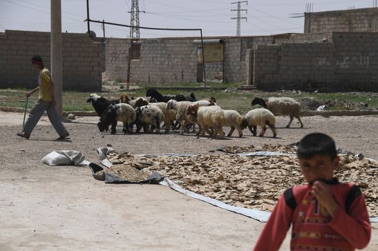 Situation in Deir ez-Zor, Syria