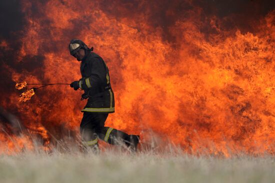 Drill to eliminate wild- and peat-bog fire consequences in Moscow Region