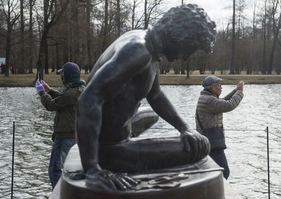 Removing protective covers from sculptures at Tsarskoye Selo Museum and Reserve