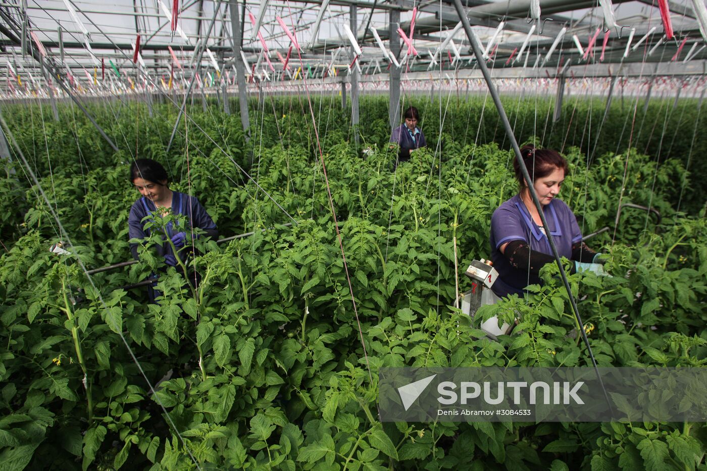 Agro-Kom greenhouse in Kabardino-Balkaria