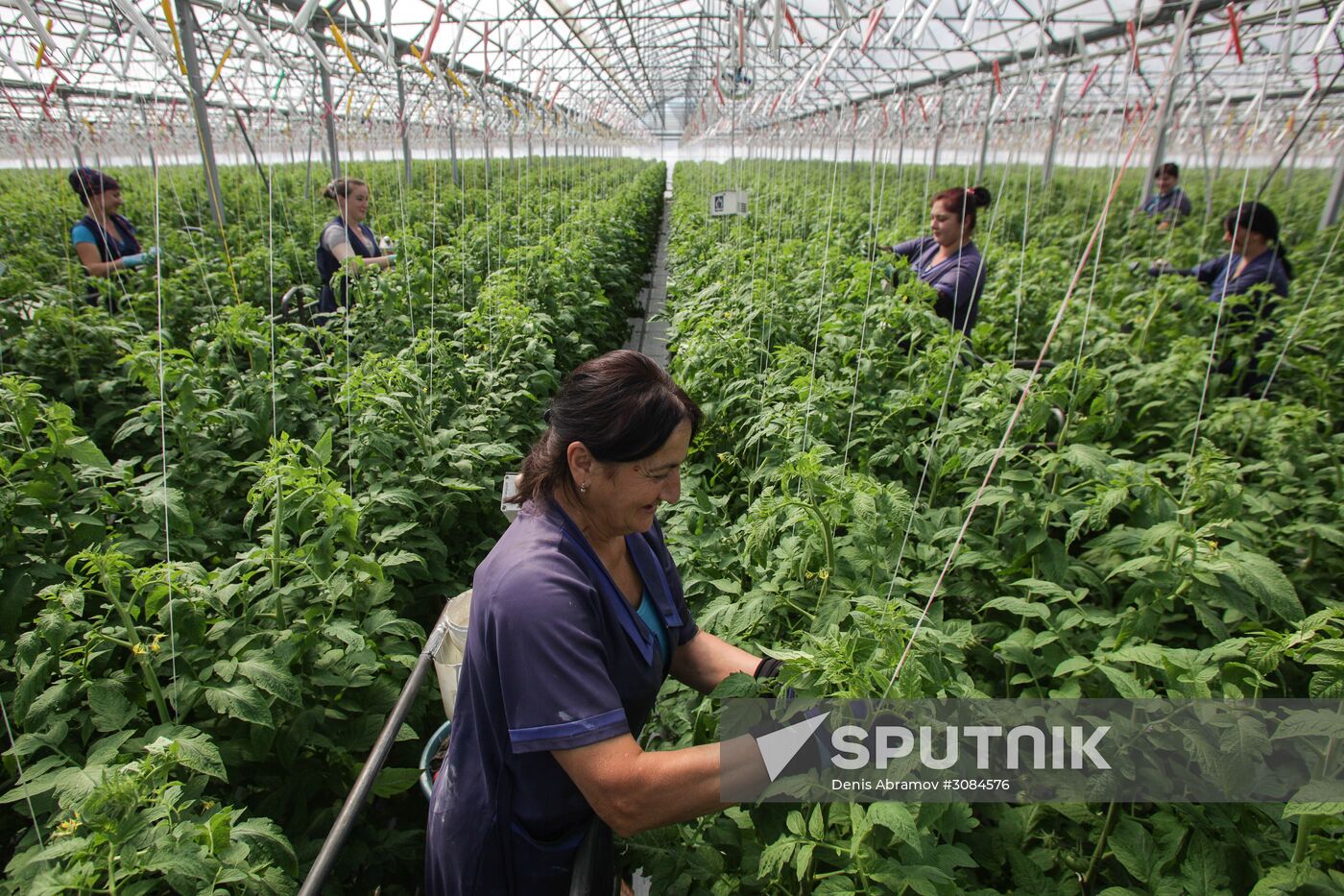 Agro-Kom greenhouse in Kabardino-Balkaria