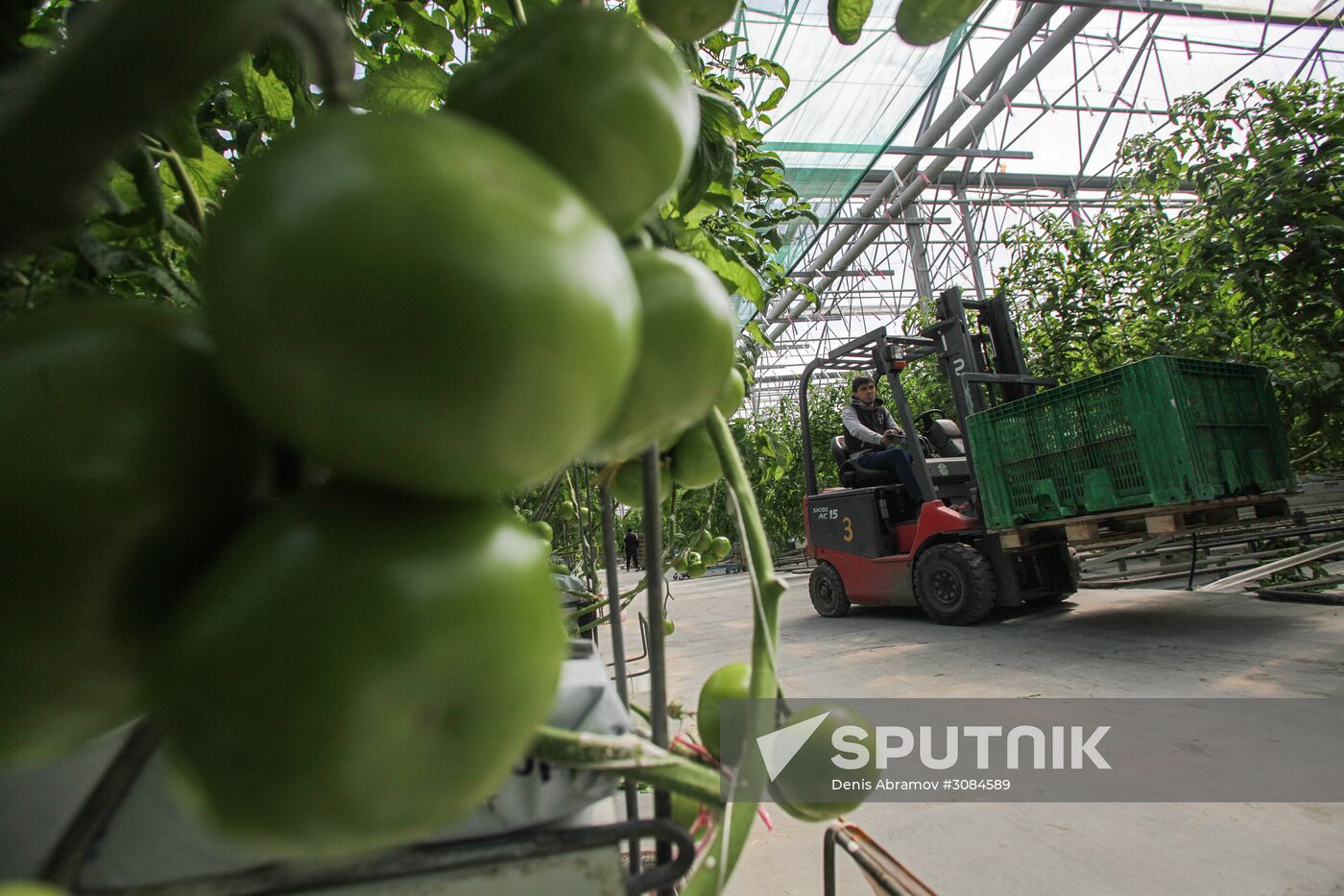Agro-Kom greenhouse in Kabardino-Balkaria