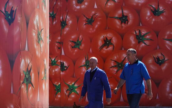 Agro-Kom greenhouse complex in Kabardino-Balkaria