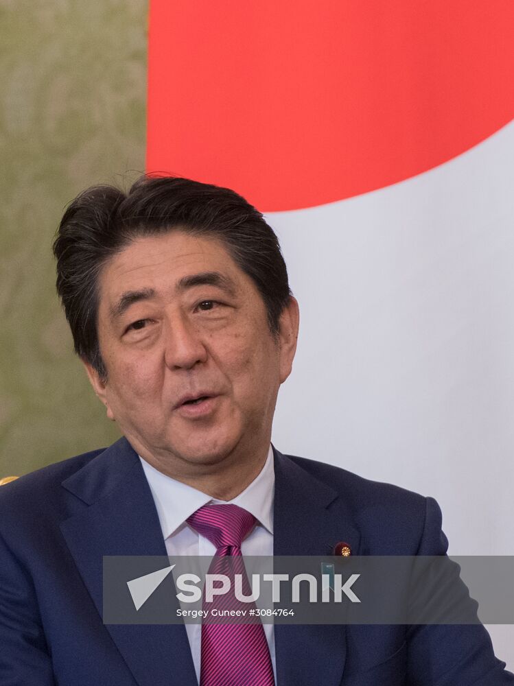 Russian President Vladimir Putin meets with Japanese Prime Minister Shinzo Abe