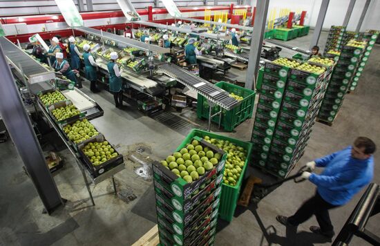 Agro-Kom greenhouse complex in Kabardino-Balkaria