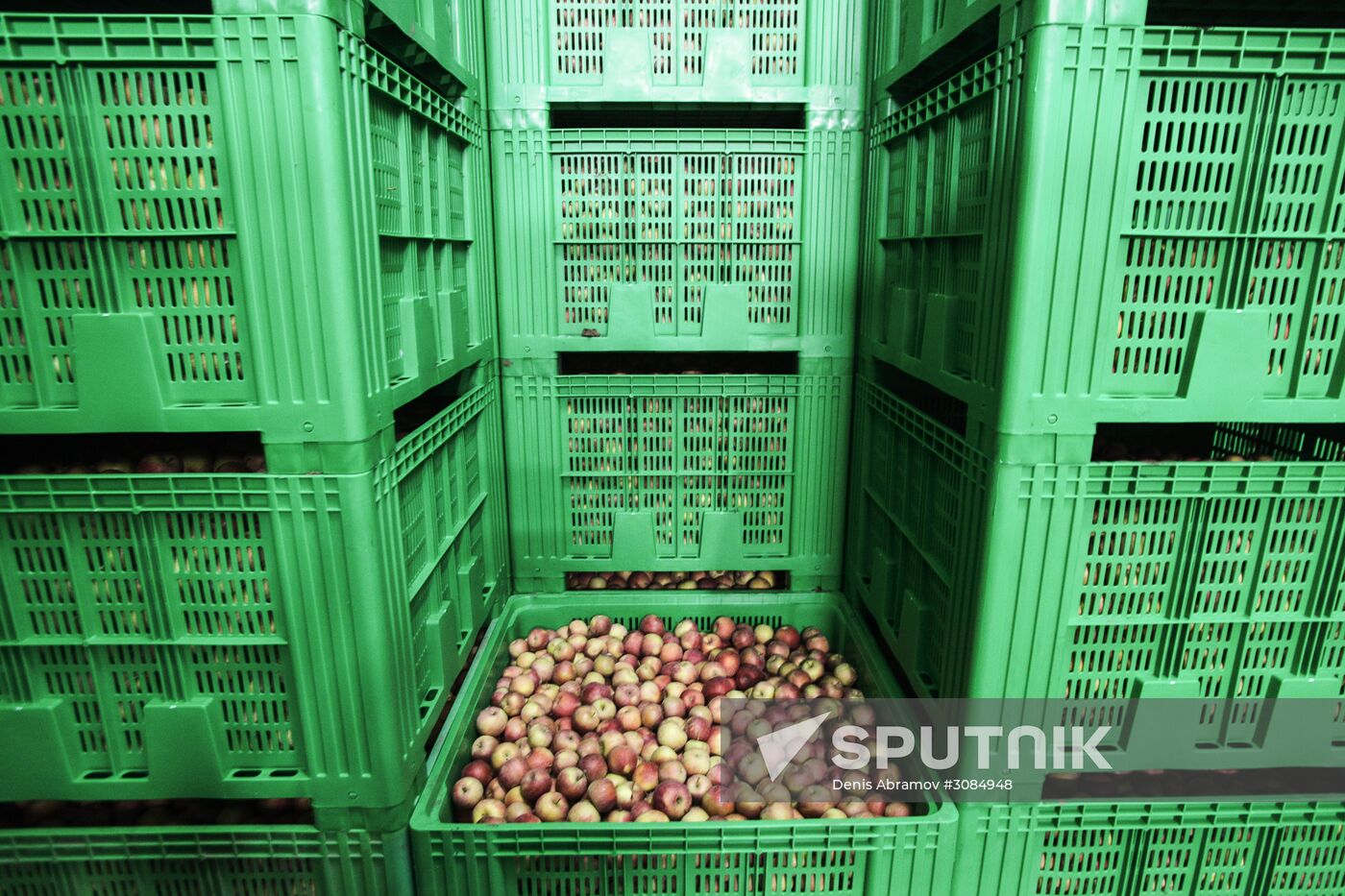 Agro-Kom greenhouse complex in Kabardino-Balkaria