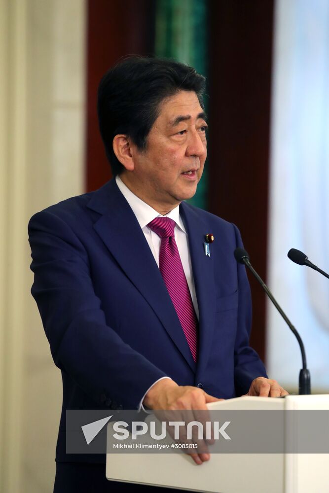 Russian President Vladimir Putin meets with Japanese Prime Minister Shinzo Abe