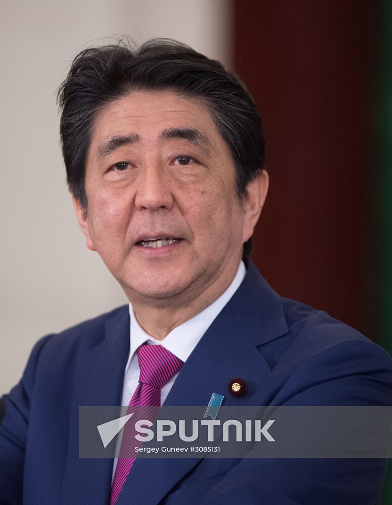 Russian President Vladimir Putin meets with Japanese Prime Minister Shinzo Abe