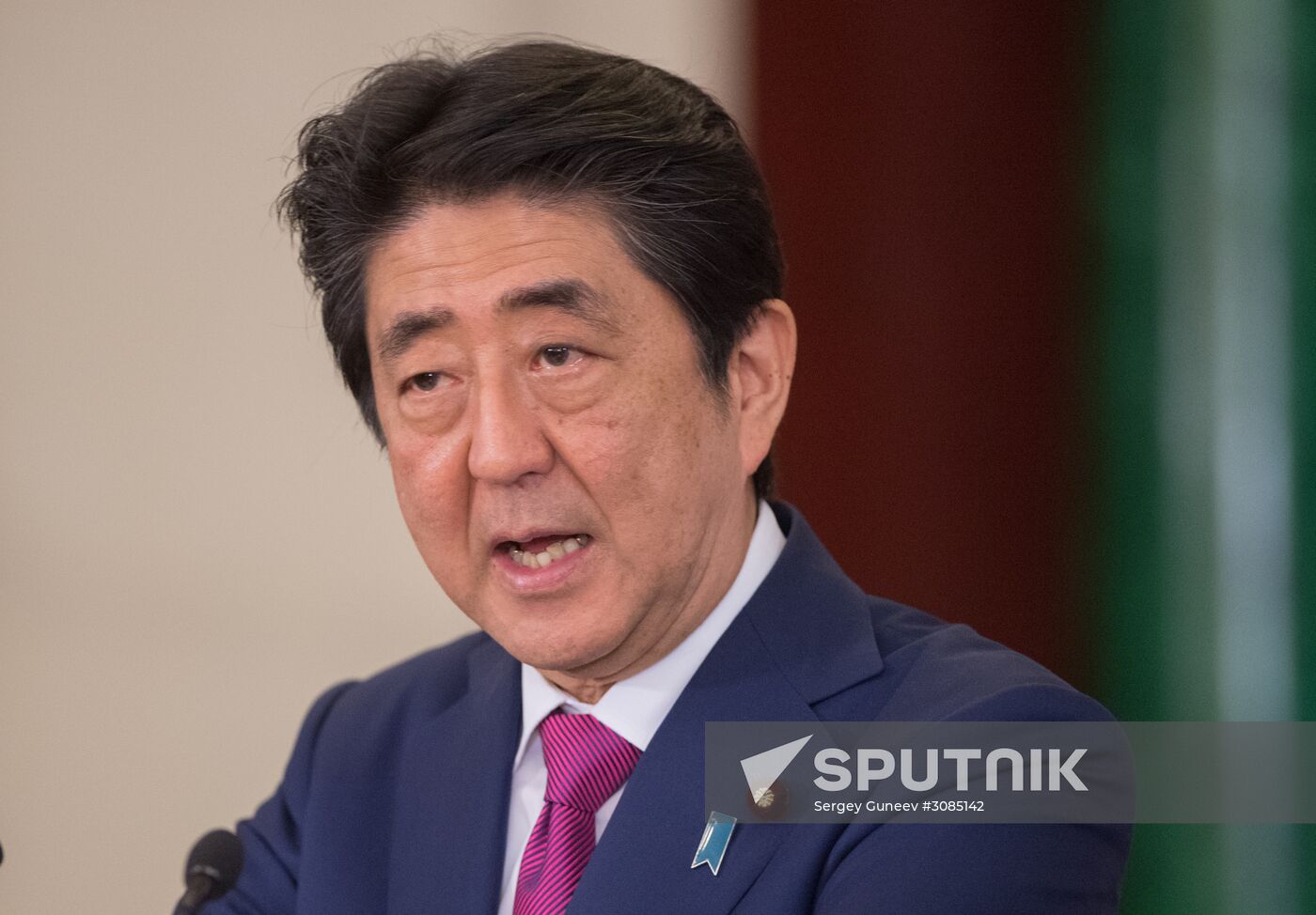 Russian President Vladimir Putin meets with Japanese Prime Minister Shinzo Abe
