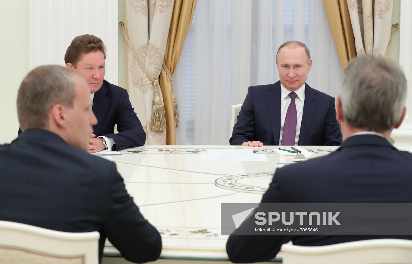 President Putin meets with OMV AG CEO Rainer Seele
