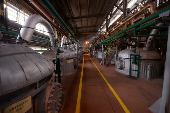 Urals Aluminum Smelter in Sverdlovsk region