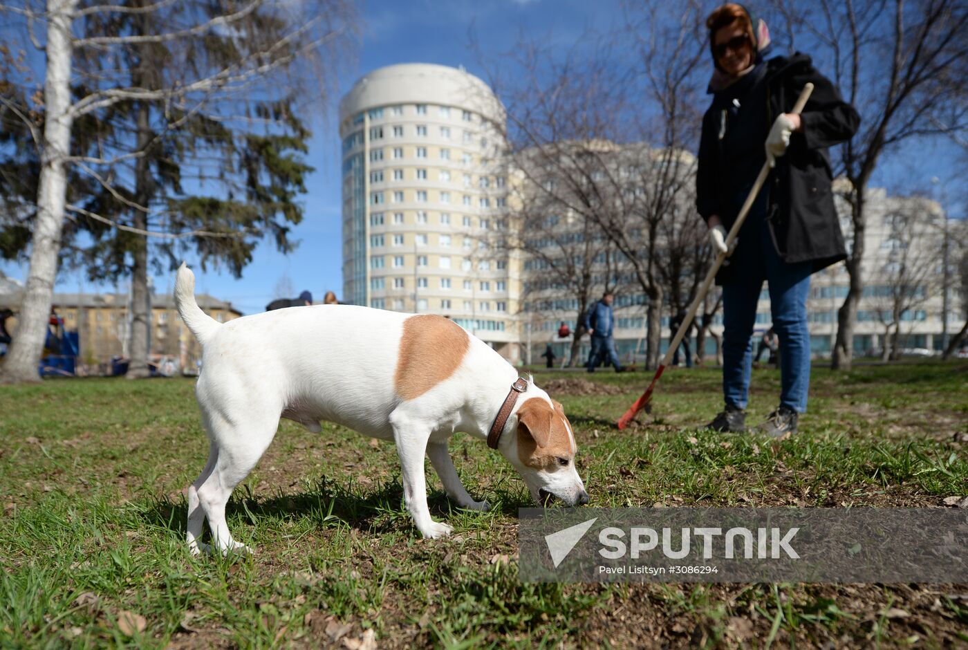 Russian nationwide volunteer clean-up day
